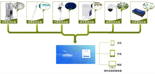 智慧 温室与现代化温室相比, 智慧 在了哪里